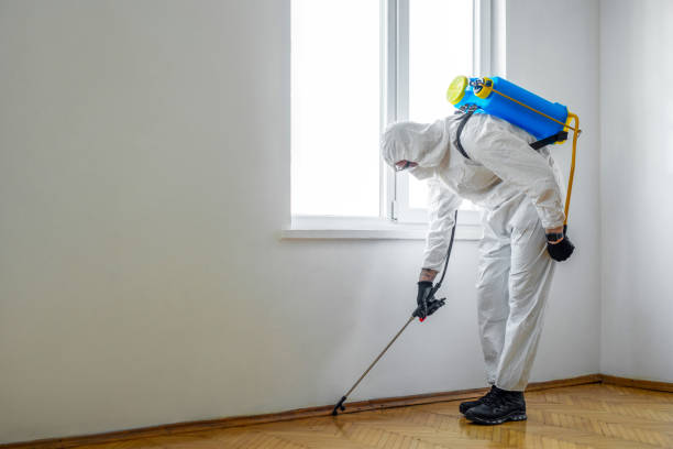 Flea Control Services in Lyons, NJ