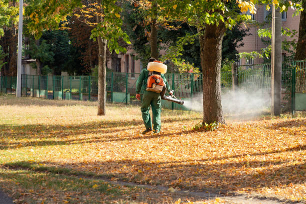 Best Pest Control for Homes  in Lyons, NJ
