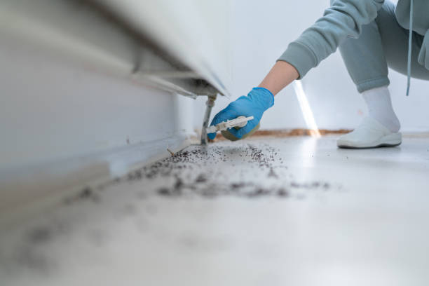 Best Commercial Pest Control Services  in Lyons, NJ
