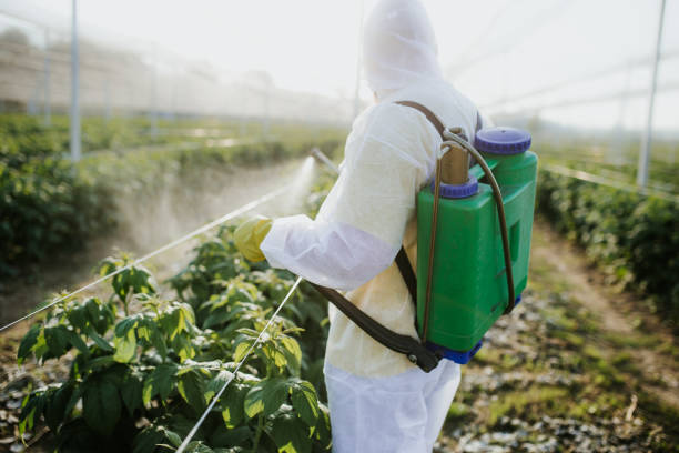 Best Exterminator Services  in Lyons, NJ